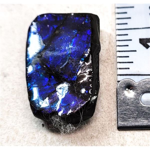 BLUE/PURPLE FIRE NATURAL 29.5 CT AMMOLITE