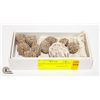 Image 1 : GENUINE DESERT ROSE SPECIMENS WITH