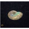 Image 1 : GENUINE IRRIDESCENT AMMONITE SPECIMEN