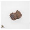 Image 1 : GENUINE COPROLITE SPECIMEN 30.6 GRAMS