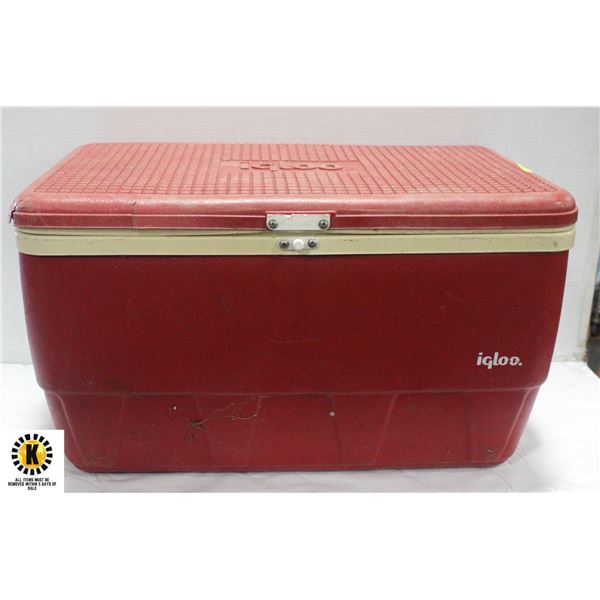 IGLOO COOLER