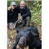 Image 3 : 7-day black bear hunt for one hunter in MN