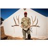 Image 1 : 5-day Mule deer or Coues deer for one hunter in Prescot, AZ
