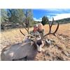 Image 2 : 5-day Mule deer or Coues deer for one hunter in Prescot, AZ