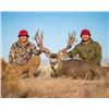 Image 3 : 5-day Mule deer or Coues deer for one hunter in Prescot, AZ
