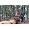 Image 1 : 6-Day Guided Elk Hunt in New Mexico Archery Only