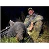 Image 1 : NEW!!! North Carolina black bear hunt one hunter