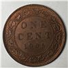 Image 1 : Canadian Large Cent 1905 UNC RED