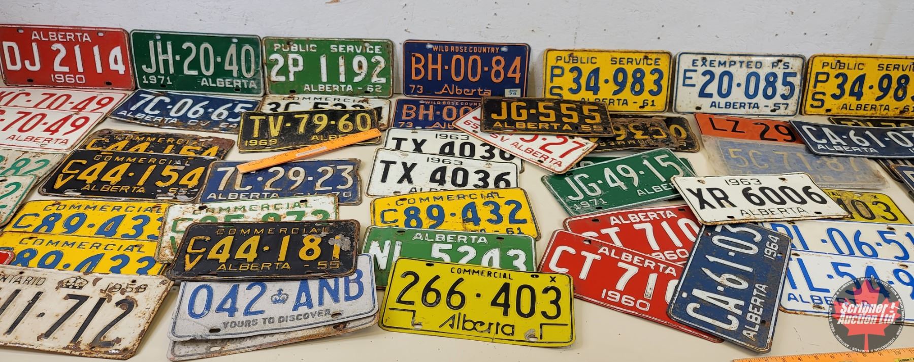 Plate Collection Point License Plate Collection (55) (Variety of Years / Locations) (Must see ...