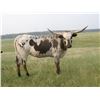 Image 1 : MP Badlands Queen