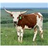 Image 1 : GLR ROYAL GORGEOUS GAL