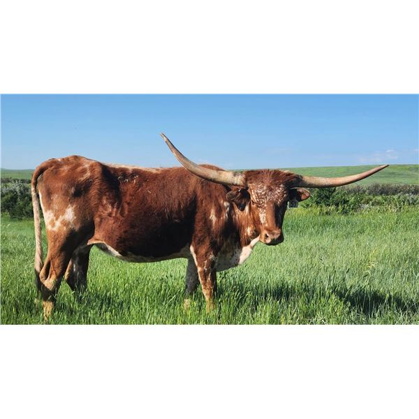 SCRATCH: HCR BOUNTIFUL