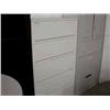 Image 1 : 5 Drawer White Cabinet 42"