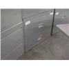 Image 1 : Gray 2 Drawer Lateral File