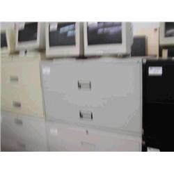 Gray 2 Drawer Lateral File