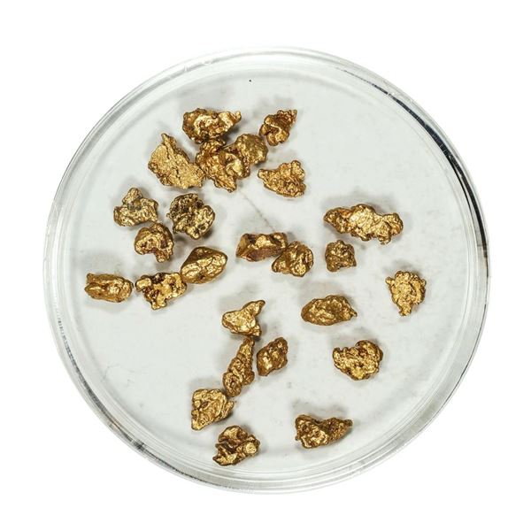 Gold Nuggets 4.20 Grams Total Weight