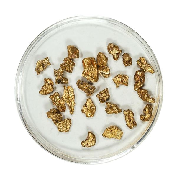 Gold Nuggets 4.94 Grams Total Weight
