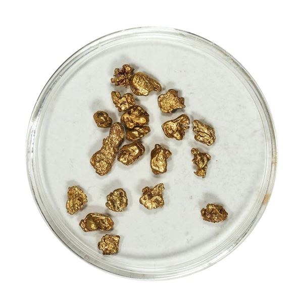 Gold Nuggets 3.50 Grams Total Weight