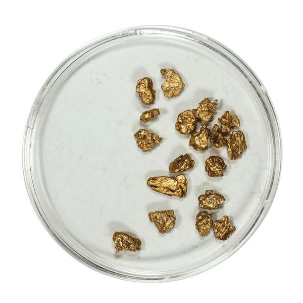 Gold Nuggets 2.35 Grams Total Weight