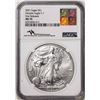 Image 1 : 2021 Type 1 $1 American Silver Eagle Coin NGC MS70 First Releases Mercanti Signed