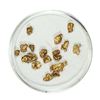 Gold Nuggets 2.91 Grams Total Weight