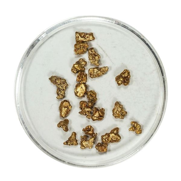 Gold Nuggets 3.00 Grams Total Weight