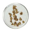 Image 1 : Gold Nuggets 3.00 Grams Total Weight