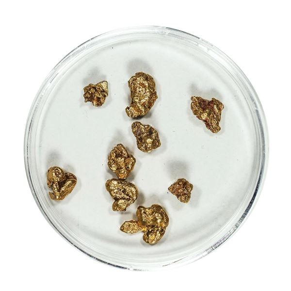 Gold Nuggets 4.61 Grams Total Weight