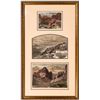 Image 2 : Colorado Scenery Illustrations  [151139]