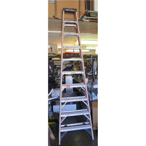 Werner 9-Step Ladder