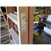 Image 6 : Werner 9-Step Ladder