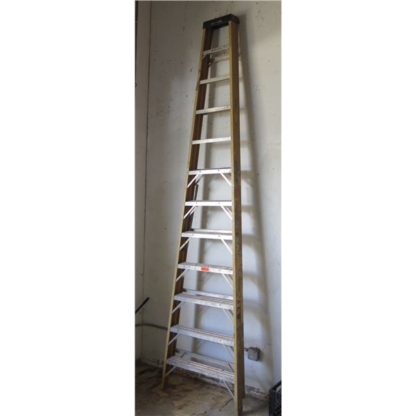 Werner 11-Step Ladder