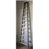 Image 1 : Werner 11-Step Ladder