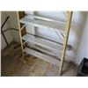 Image 2 : Werner 11-Step Ladder