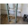 Image 2 : Blue Metal Extension Ladder