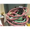 Image 2 : Multiple Tanks in Caddy w/ Hoses, Gauges, Leads, etc