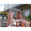 Image 2 : Werner 5-Step Ladder