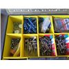 Image 2 : Stanley Plastic Organizer w/ Misc Hardware: Anchors, Screws, Washers, etc
