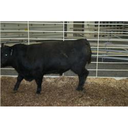 RATHBUN QUANTUM N538