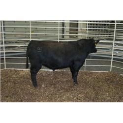 RATHBUN QUANTUM N592