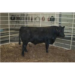 RATHBUN QUANTUM N647