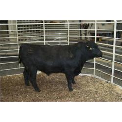 RATHBUN QUANTUM N669