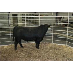 RATHBUN QUANTUM N688