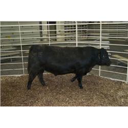 RATHBUN QUANTUM N692