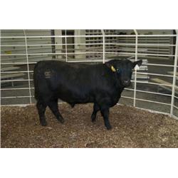 RATHBUN DATELINE N508