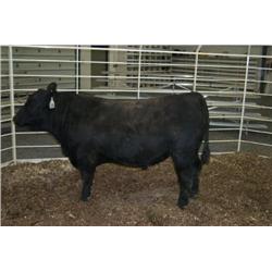 RATHBUN DATELINE N510