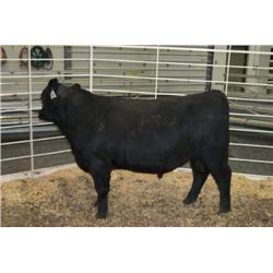 RATHBUN DATELINE N519