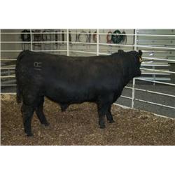 RATHBUN DATELINE N531