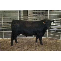 RATHBUN DATELINE N564