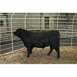 RATHBUN DATELINE N569